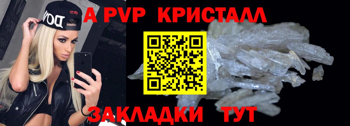 Альфа ПВП СК КРИС Благодарный