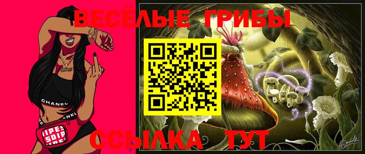 Галлюциногенные грибы Magic Shrooms  Вход с VPN  что такое   Благодарный 