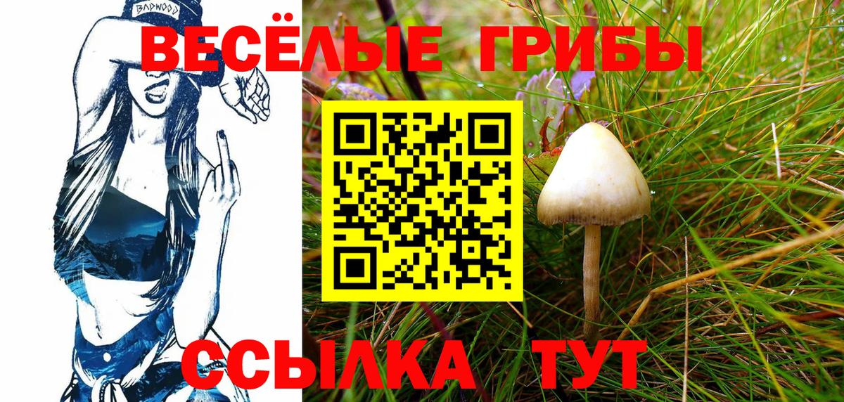 Псилоцибиновые грибы Psilocybe Благодарный